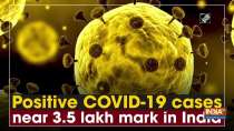 Positive COVID-19 cases near 3.5 lakh mark in India