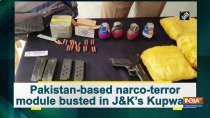 Pakistan-based narco-terror module busted in J-K