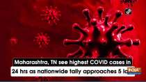 Maharashtra, TN see highest COVID cases in 24 hrs as nationwide tally approaches 5 lakh