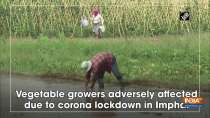 Vegetable growers adversely affected due to corona lockdown in Imphal