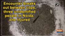 Encounter breaks out between cops, three unidentified people in Noida, one injured