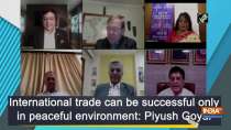 International trade can be successful only in peaceful environment: Piyush Goyal