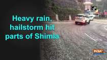 Heavy rain, hailstorm hit parts of Shimla