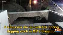 4 labourers die in mudslide during digging work in MP
