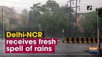 Delhi-NCR receives fresh spell of rains