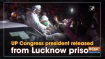 UP Congress president released from Lucknow prison
