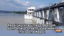 Repair work resumes of Gandak dam after consensus between India and Nepal