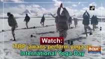 Watch: ITBP jawans perform yoga on International Yoga Day