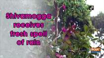 Shivamogga receives fresh spell of rain