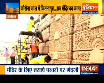 Ayodhya Ram Temple: Cleaning of carved panels begins