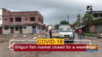 COVID-19: Siliguri fish market closed for a week
