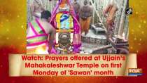 Watch: Prayers offered at Ujjain