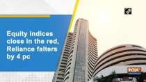 Equity indices close in the red, Reliance falters by 4 pc