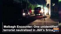 Malbagh Encounter: One unidentified terrorist neutralized in JK