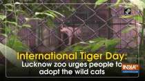 International Tiger Day: Lucknow zoo urges people to adopt the wild cats