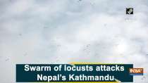 Swarm of locusts attacks Nepal