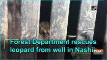 Forest Department rescues leopard from well in Nashik