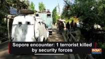 Sopore encounter: 1 terrorist killed by security forces