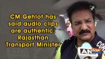CM Gehlot has said audio clips are authentic: Rajasthan Transport Minister