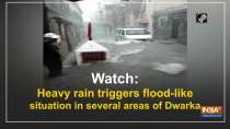 Watch: Heavy rain triggers flood-like situation in several areas of Dwarka