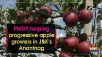 PMDP helping progressive apple growers in J-K