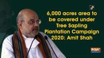 6,000 acres area to be covered under Tree Sapling Plantation Campaign 2020: Amit Shah