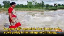Congress MP remembers her farmer roots, sows paddy in her village in Chhattisgarh