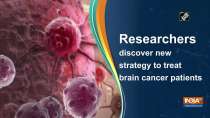 Researchers discover new strategy to treat brain cancer patients