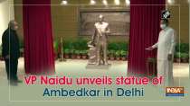 VP Naidu unveils statue of Ambedkar in Delhi