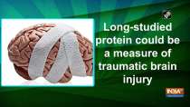 Long-studied protein could be a measure of traumatic brain injury