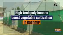 High-tech poly houses boost vegetable cultivation in Kashmir