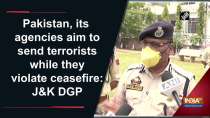 Pakistan, its agencies aim to send terrorists while they violate ceasefire: J-K DGP