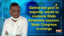 Gehlot-led govt in majority, wants to convene State Assembly session: State Congress in-charge