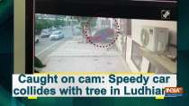 Caught on cam: Speedy car collides with tree in Ludhiana