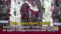 Nag Panchami 2020: Traditional 