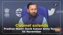 Cabinet extends Pradhan Mantri Garib Kalyan Anna Yojana till November