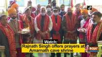 Watch: Rajnath Singh offers prayers at Amarnath cave shrine