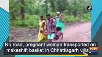 No road, pregnant woman transported on makeshift basket in Chhattisgarh village
