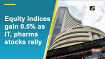 Equity indices gain 0.5% as IT, pharma stocks rally