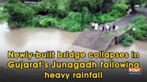Newly-built bridge collapses in Gujarat