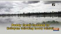 Paddy fields flooded in Kottayam following heavy rainfall