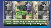 Woman delivers baby under tree after hospital denies admission in Telangana
