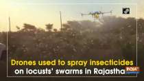 Drones used to spray insecticides on locusts