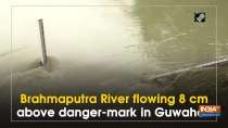 Brahmaputra River flowing 8 cm above danger-mark in Guwahati