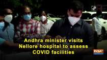 Andhra minister visits Nellore hospital to assess COVID facilities