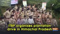 ITBP organises plantation drive in Himachal Pradesh