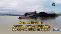 Assam floods: Normal lives disrupted, rescue operation underway