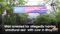 Man arrested for allegedly having unnatural sex with cow in Bhopal