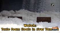 Watch: Toxic foam floats in river Yamuna