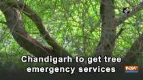 Chandigarh to get tree emergency services